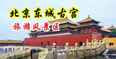 两根黑吊一齐入洞中国北京-东城古宫旅游风景区